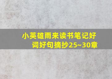 小英雄雨来读书笔记好词好句摘抄25~30章