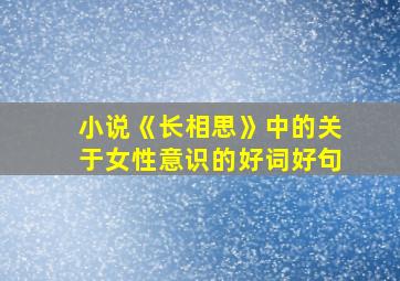 小说《长相思》中的关于女性意识的好词好句