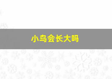 小鸟会长大吗