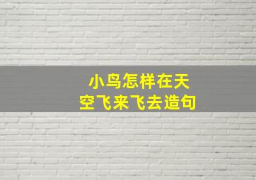 小鸟怎样在天空飞来飞去造句