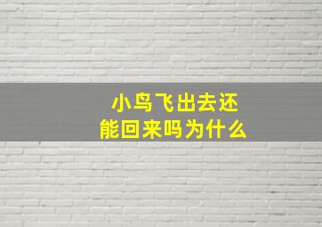 小鸟飞出去还能回来吗为什么