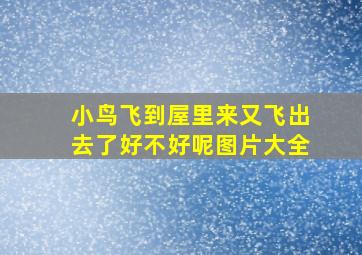 小鸟飞到屋里来又飞出去了好不好呢图片大全