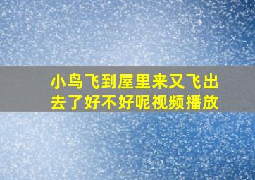 小鸟飞到屋里来又飞出去了好不好呢视频播放