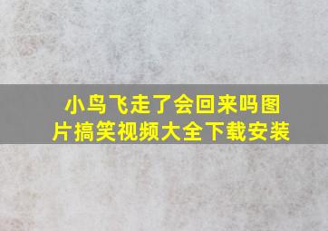 小鸟飞走了会回来吗图片搞笑视频大全下载安装