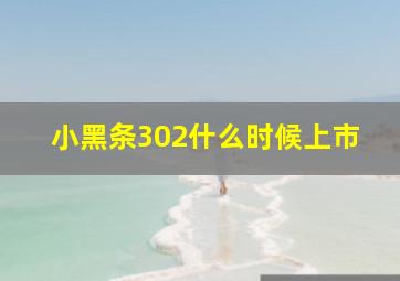 小黑条302什么时候上市