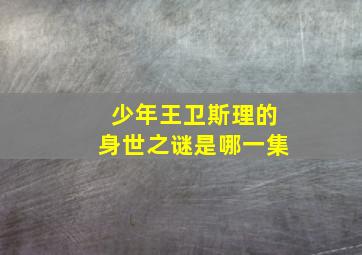 少年王卫斯理的身世之谜是哪一集