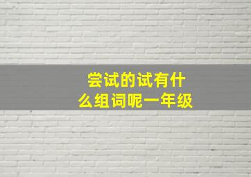 尝试的试有什么组词呢一年级