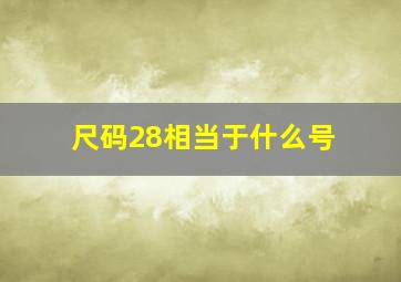 尺码28相当于什么号