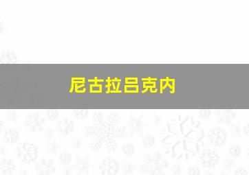 尼古拉吕克内