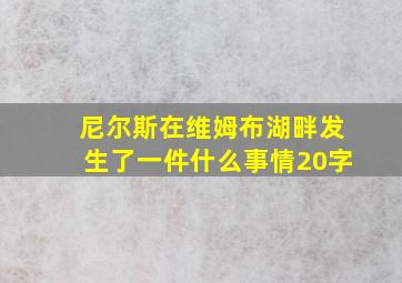 尼尔斯在维姆布湖畔发生了一件什么事情20字