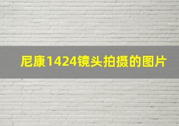 尼康1424镜头拍摄的图片