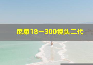 尼康18一300镜头二代