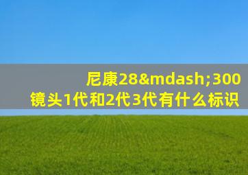 尼康28—300镜头1代和2代3代有什么标识