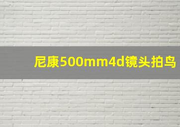 尼康500mm4d镜头拍鸟