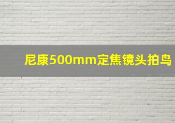 尼康500mm定焦镜头拍鸟