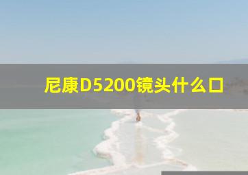 尼康D5200镜头什么口