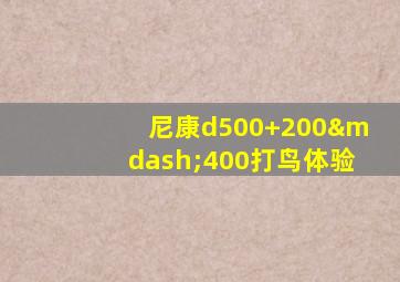 尼康d500+200—400打鸟体验