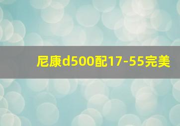 尼康d500配17-55完美