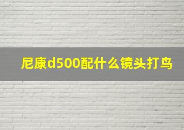 尼康d500配什么镜头打鸟