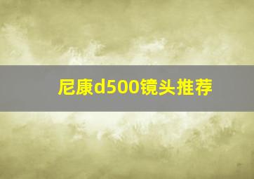 尼康d500镜头推荐