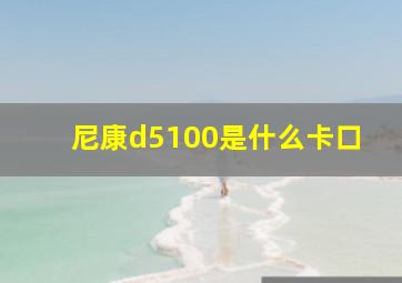 尼康d5100是什么卡口