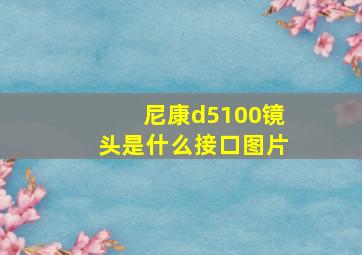 尼康d5100镜头是什么接口图片