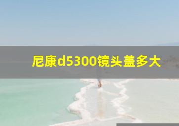 尼康d5300镜头盖多大