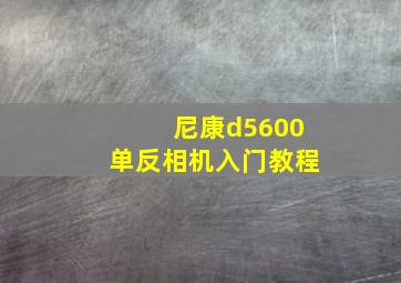 尼康d5600单反相机入门教程