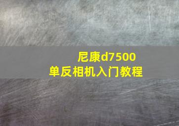 尼康d7500单反相机入门教程