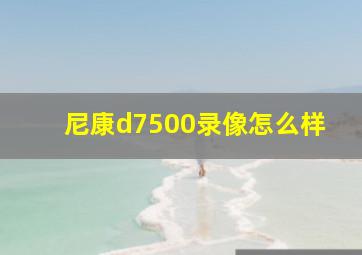 尼康d7500录像怎么样