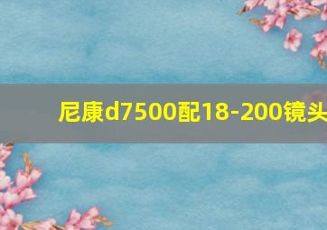 尼康d7500配18-200镜头