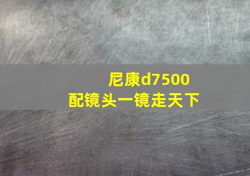 尼康d7500配镜头一镜走天下