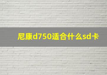 尼康d750适合什么sd卡