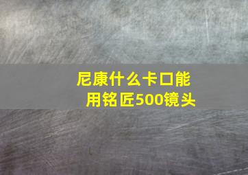 尼康什么卡口能用铭匠500镜头