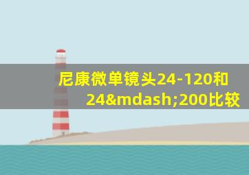 尼康微单镜头24-120和24—200比较