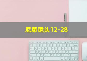 尼康镜头12-28