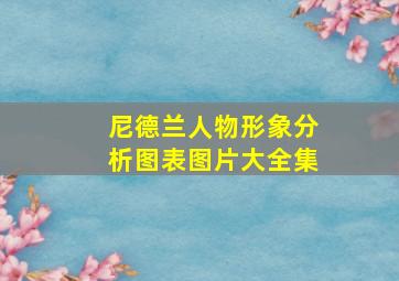 尼德兰人物形象分析图表图片大全集