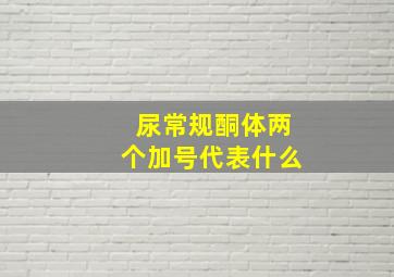 尿常规酮体两个加号代表什么