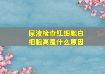 尿液检查红细胞白细胞高是什么原因