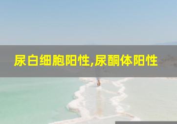 尿白细胞阳性,尿酮体阳性