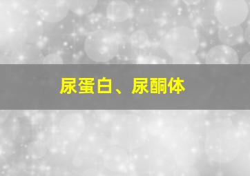 尿蛋白、尿酮体