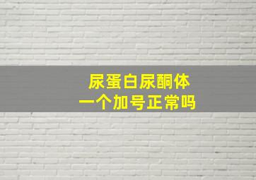 尿蛋白尿酮体一个加号正常吗