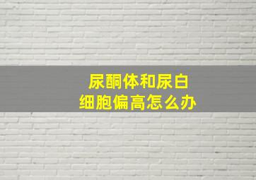 尿酮体和尿白细胞偏高怎么办