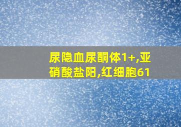 尿隐血尿酮体1+,亚硝酸盐阳,红细胞61