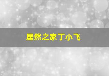 居然之家丁小飞