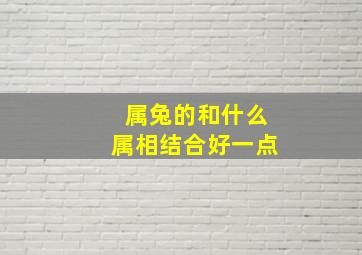 属兔的和什么属相结合好一点