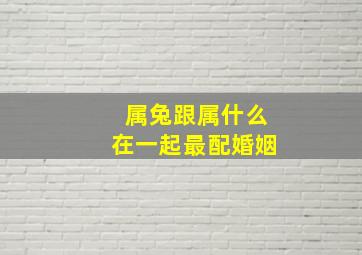 属兔跟属什么在一起最配婚姻