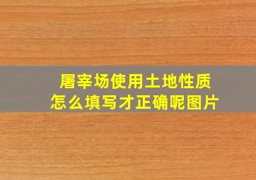 屠宰场使用土地性质怎么填写才正确呢图片