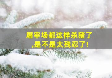 屠宰场都这样杀猪了,是不是太残忍了!