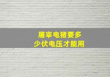 屠宰电猪要多少伏电压才能用